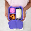 Little Lunch Box Co Bento Two - Grape