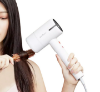 Cherry Home x Deerma Multi-function Hair and Hand Dryer 