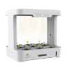 Cherry Home Smart Hydroponic Plant Box