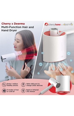 Cherry Home Deerma Multi-function Hair and Hand Dryer