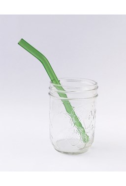Strawesome - Just For Kids Straw - Going Green