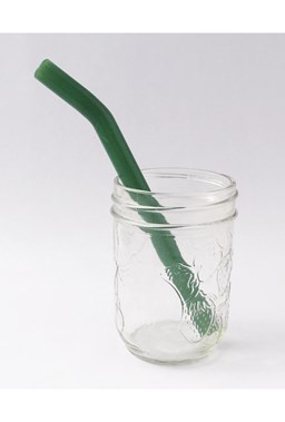 Strawesome - Just for Kids Smoothie Straw - Jade Green