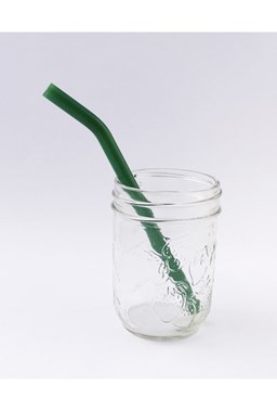 Strawesome - Just for Kids Straw - Jade Green 