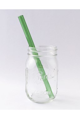 Strawesome - Smoothie Glass Straw - Going Green 